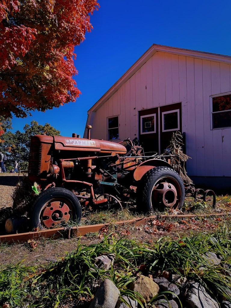 波士頓採蘋果，Apple Picking農場推薦Peabody布魯克斯比農場(Brooksby Farm)，同時推薦他們自產的蘋果甜甜圈Apple Cider Doughnut！