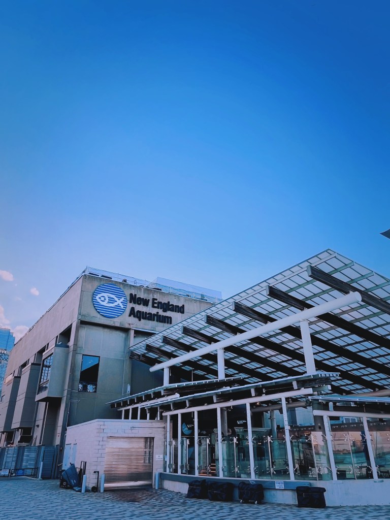 波士頓新英格蘭水族館是1969年就設立在波士頓港灣的建築物，水族館裡有著三層樓高的室內水族箱，在設計的巧思上非常用心。到波士頓旅遊行程規劃、想找親子友善景點或是情侶約會都非常適合！