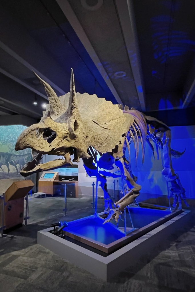 波士頓科學博物館 (Museum of Science, Boston) 裡面大家最愛拍照的景點首選應該就是等比例的恐龍模型、精細的化石標本,以及中生代的模擬場景,會讓人仿佛穿越回到史前世界。